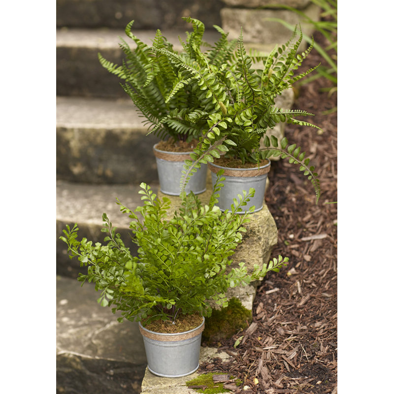 Melrose Intl. Faux Fern Plant in Pot & Reviews Wayfair